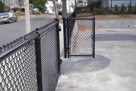 Chain Link Gate