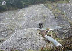 SNS Active Protection System