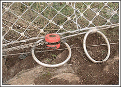 SNS Protective Fence