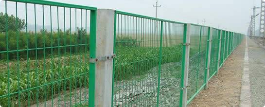 Wire Mesh Fence